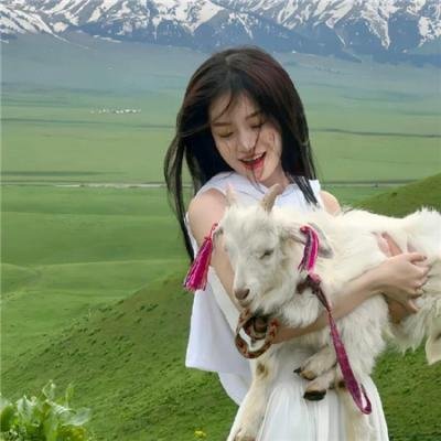 五台山儿女英雄传