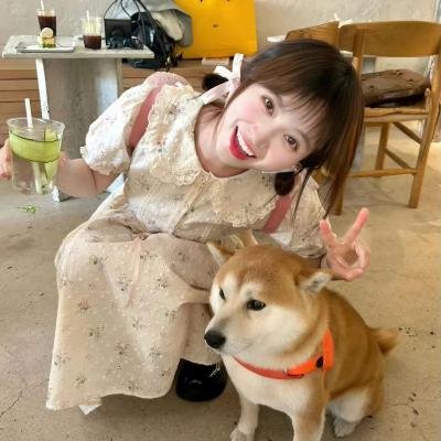 紧急盯梢令