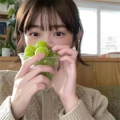 美国派:高潮再起